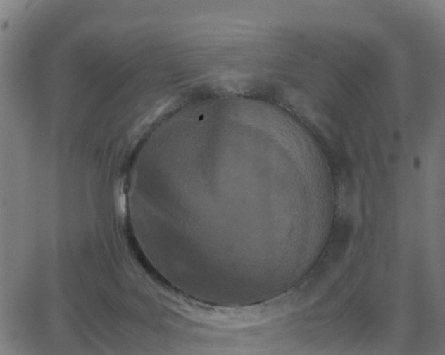 X0000062830027200601201624