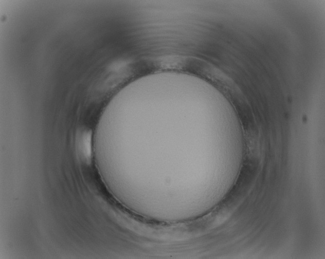 X0000062830028200601201624