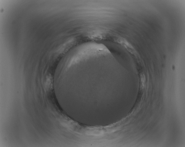 X0000062830029200601201624