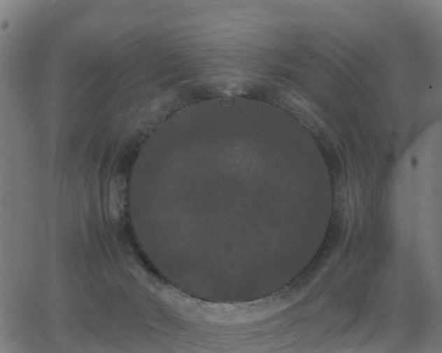 X0000062830030200601201624