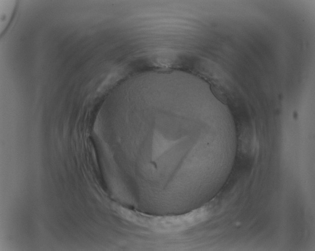 X0000062830031200601201624