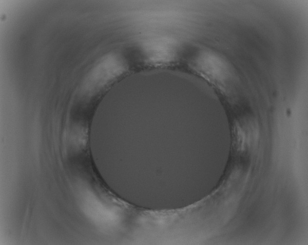 X0000062830033200601201624