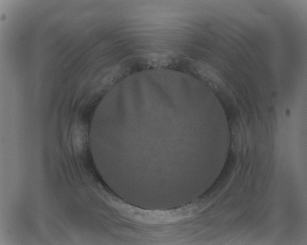 X0000062830034200601201624