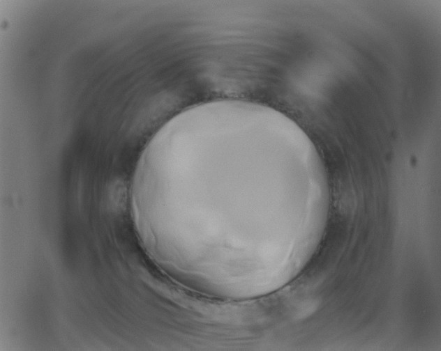 X0000062830036200601201624