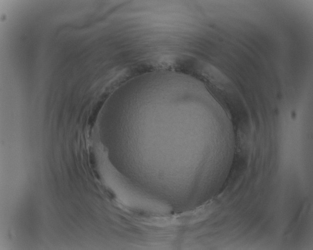 X0000062830037200601201624