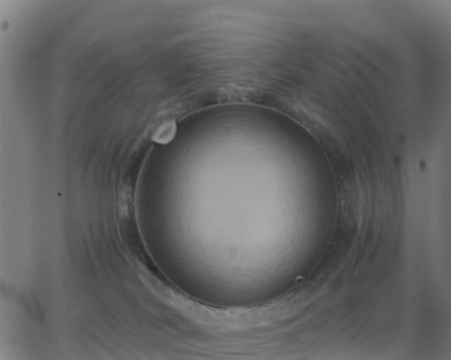 X0000062830038200601201624