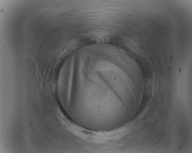 X0000062830039200601201624