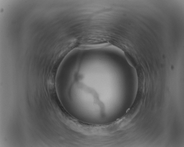 X0000062830040200601201624