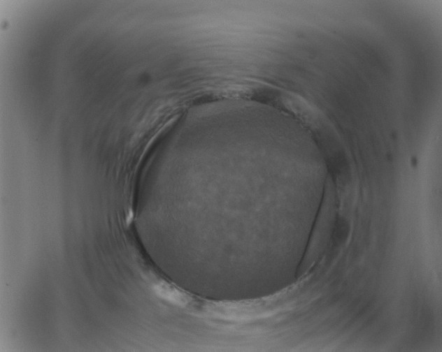 X0000062830041200601201624