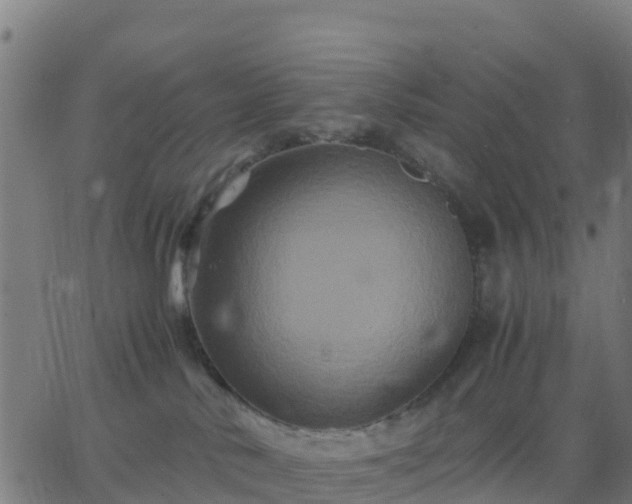 X0000062830042200601201624