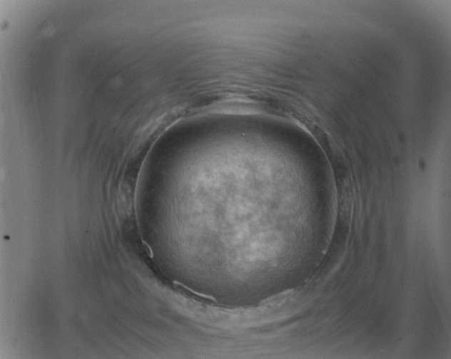 X0000062830043200601201624