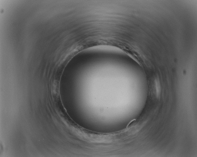 X0000062830044200601201624