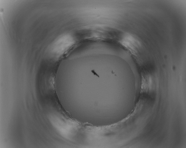 X0000062830045200601201624