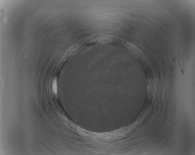 X0000062830046200601201624