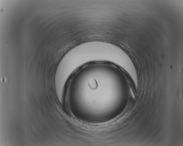 X0000062830047200601201624