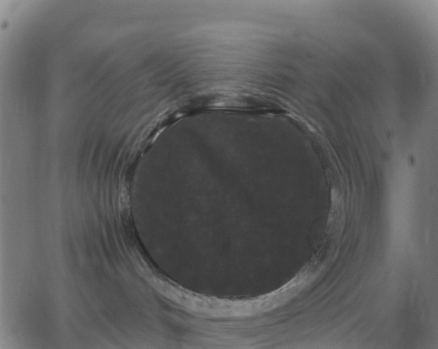 X0000062830048200601201624