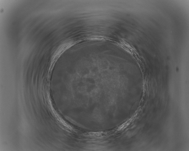 X0000062830049200601201623