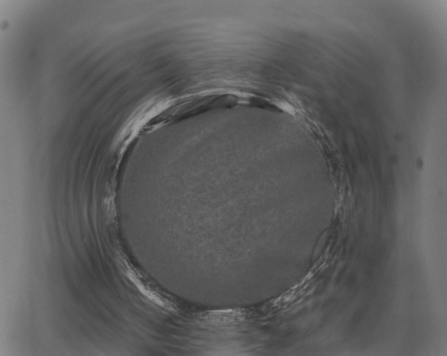 X0000062830050200601201623