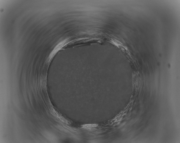 X0000062830051200601201623