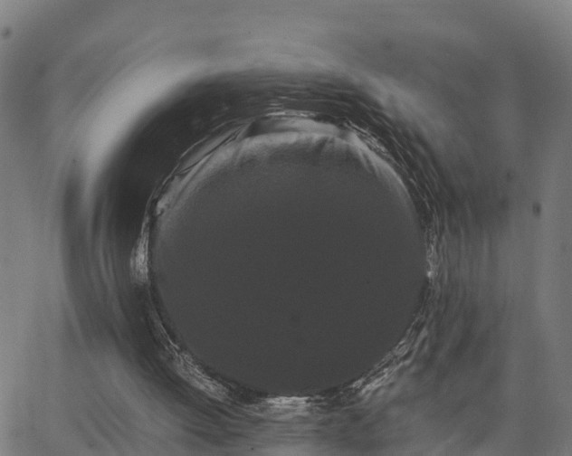 X0000062830052200601201623