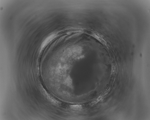 X0000062830053200601201623