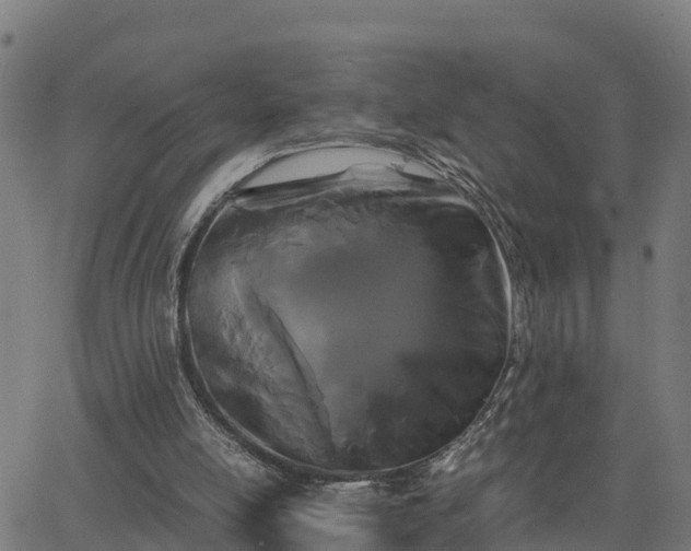 X0000062830054200601201623