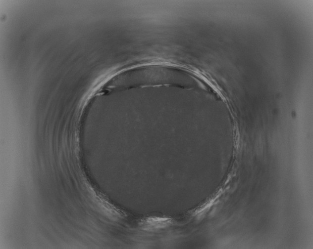 X0000062830055200601201623