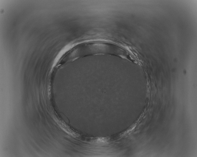 X0000062830056200601201623