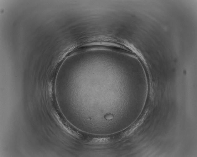 X0000062830057200601201623