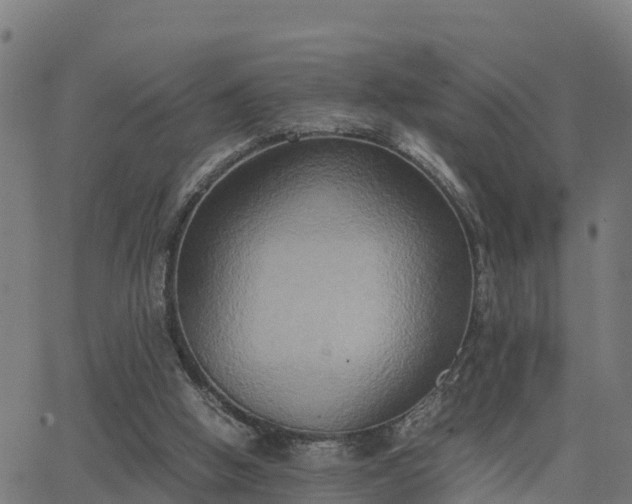 X0000062830058200601201623