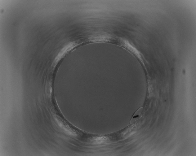 X0000062830059200601201623