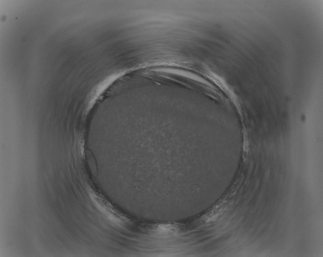 X0000062830060200601201623