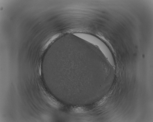 X0000062830062200601201623