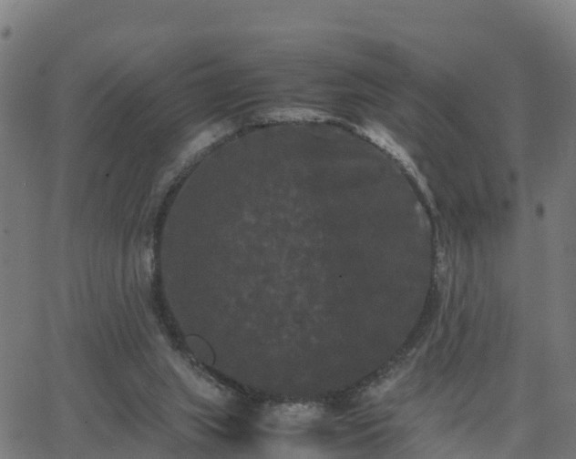 X0000062830063200601201623