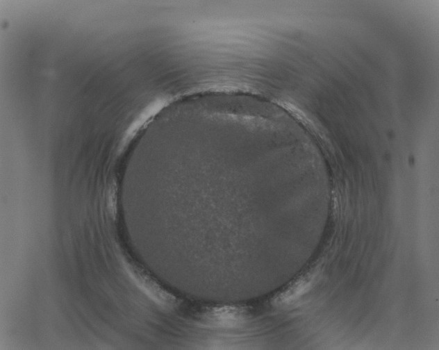 X0000062830064200601201623