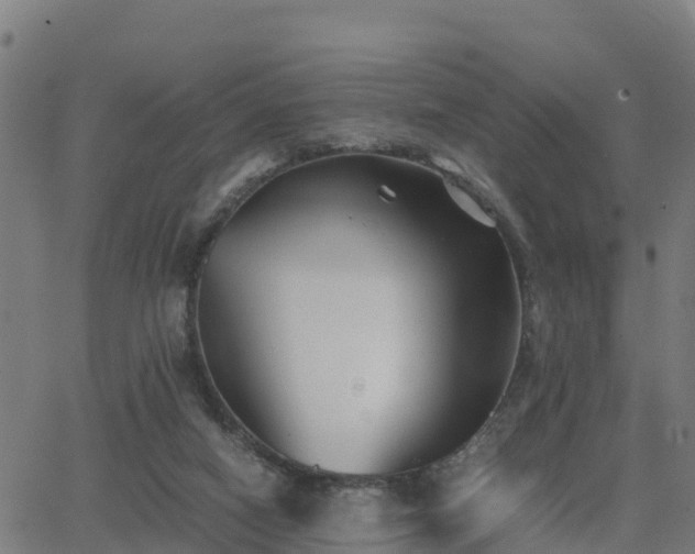 X0000062830066200601201623