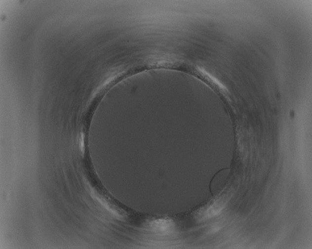 X0000062830067200601201623