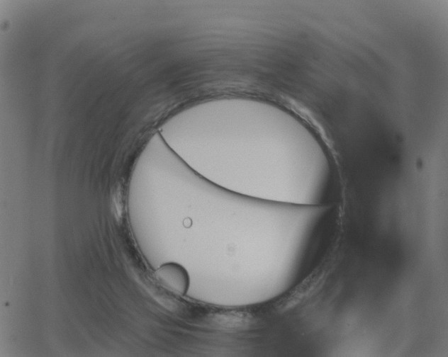 X0000062830069200601201623