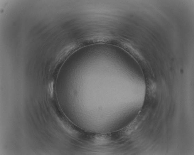 X0000062830070200601201623