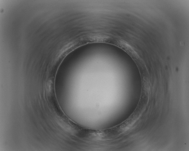 X0000062830071200601201623