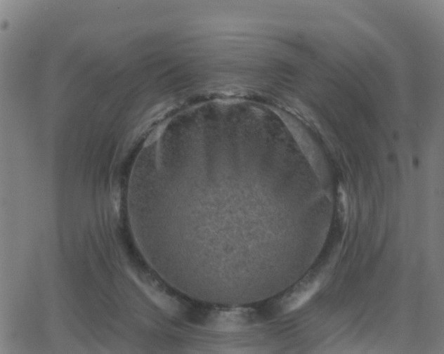 X0000062830072200601201623