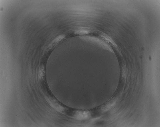 X0000062830073200601201623