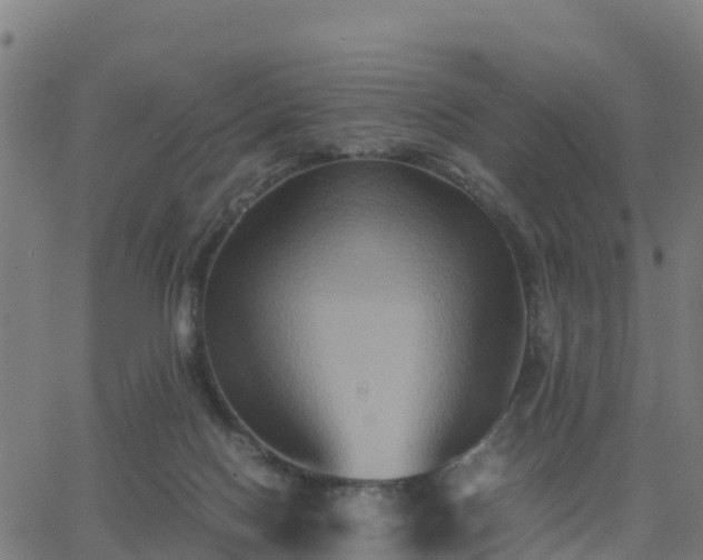 X0000062830074200601201623