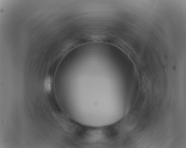 X0000062830075200601201623