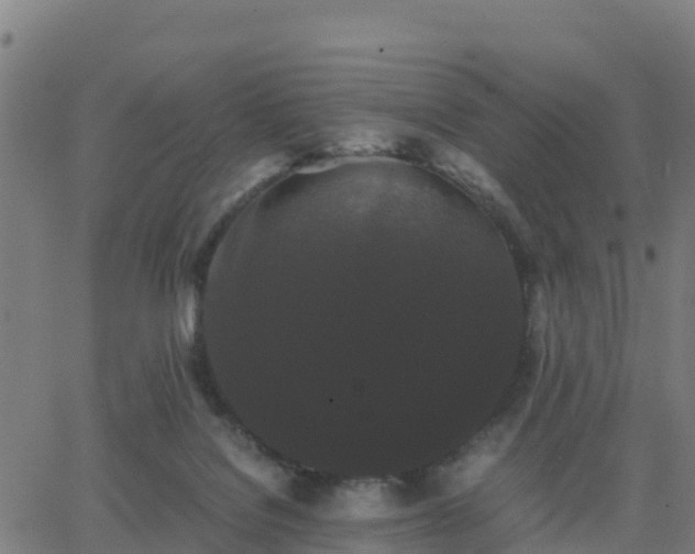 X0000062830076200601201623