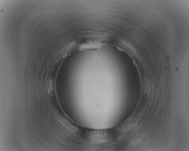 X0000062830077200601201623