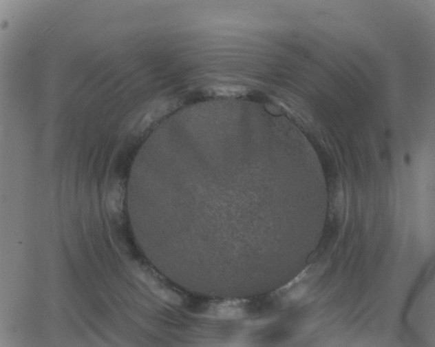 X0000062830078200601201623