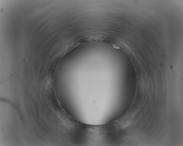 X0000062830079200601201623