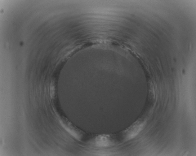 X0000062830080200601201623