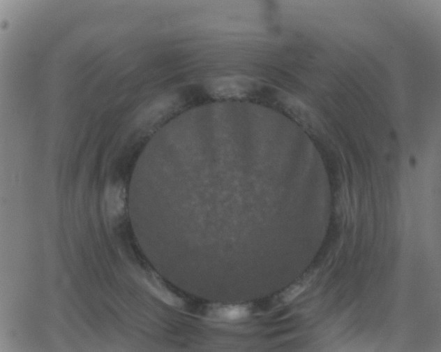 X0000062830081200601201623